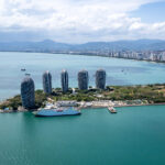 Scientists Discover Surprising Findings After Dropping Cow Carcass In South Chin