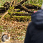 Strange Squirrel Behaviors You Wont Believe