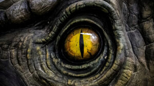 The T Rexs Existence Relies On An Unknown Dinosaur