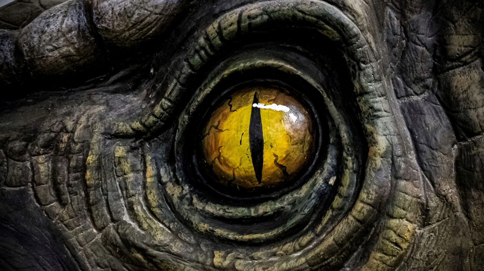 The T Rexs Existence Relies On An Unknown Dinosaur