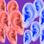 The Unique Purpose Of A Useless Organ Found On Your Ear