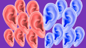 The Unique Purpose Of A Useless Organ Found On Your Ear