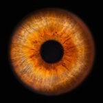 Unique Eye Trait Found In Only 50 Percent Of People