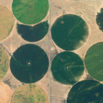 Green Circles Seen From An Airplane What Are They