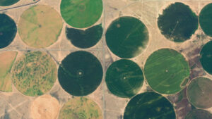 Green Circles Seen From An Airplane What Are They