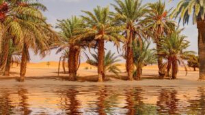 How Often Does The Sahara Flood And Its Implications