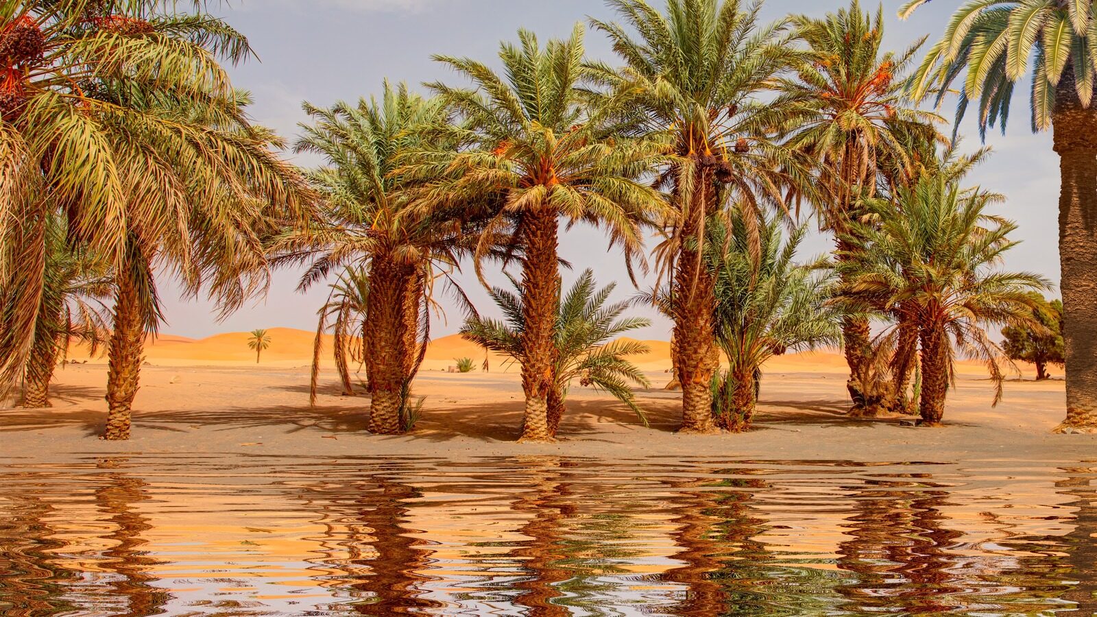 How Often Does The Sahara Flood And Its Implications