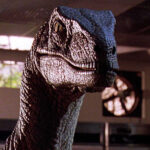 Jurassic Park Misrepresented Velociraptors The Real Appearance