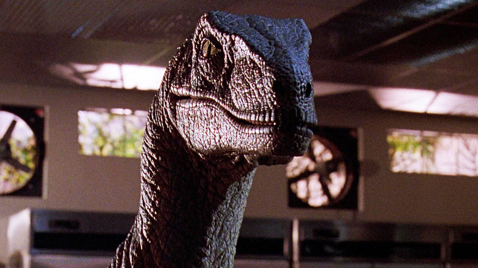 Jurassic Park Misrepresented Velociraptors The Real Appearance