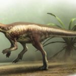 New Jurassic Dinosaur Species Reveals 150 Million Year Old Mystery