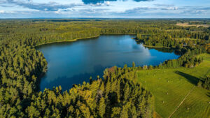 Pond Vs Lake Understanding Their Complex Differences