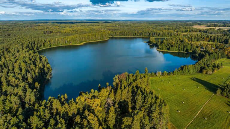 Pond Vs Lake Understanding Their Complex Differences