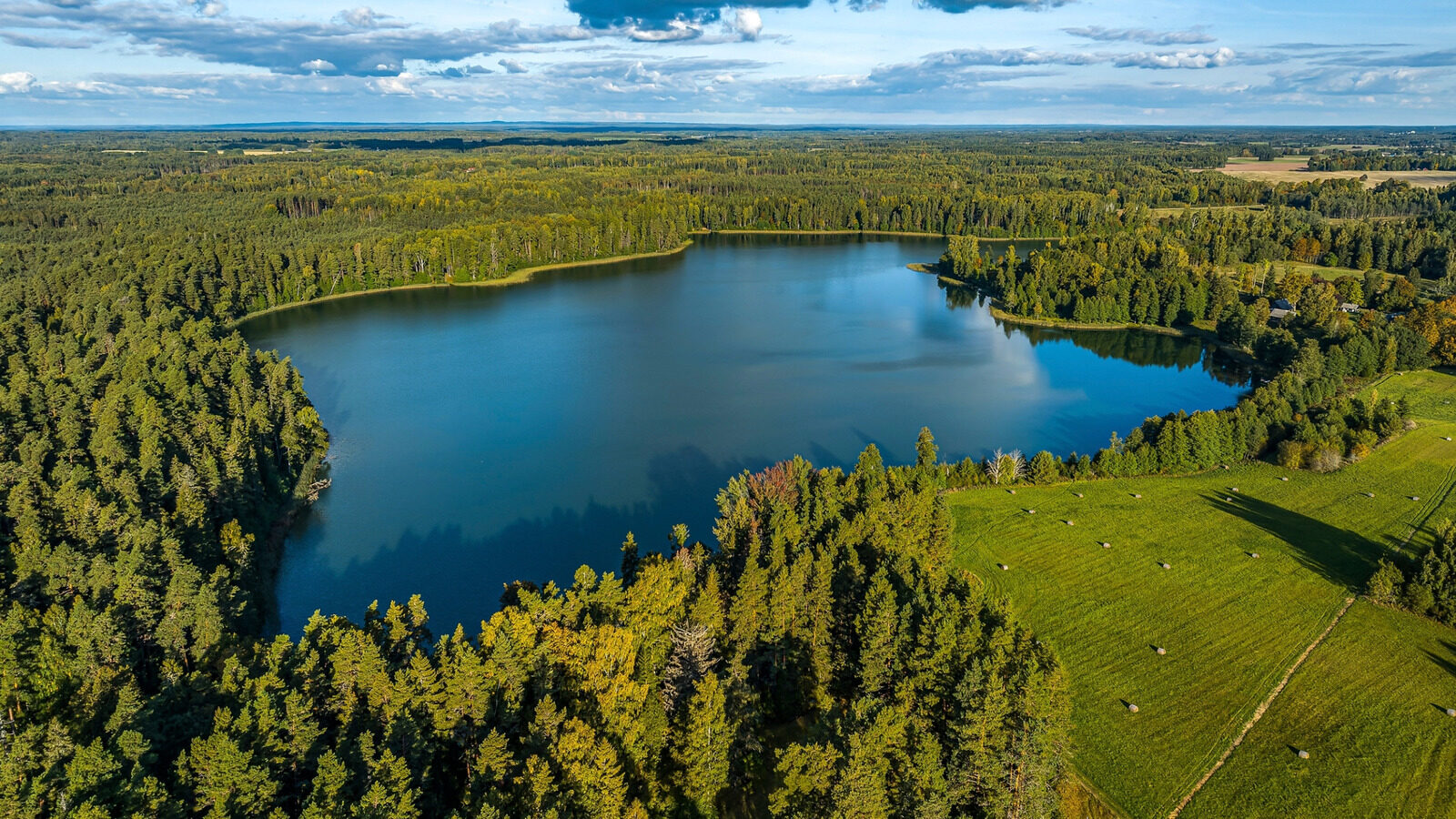 Pond Vs Lake Understanding Their Complex Differences