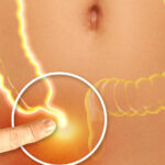 The Importance Of Your Appendix More Useful Than You Think