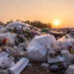 Understanding Forever Chemicals And Their Impact