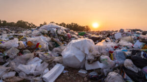 Understanding Forever Chemicals And Their Impact