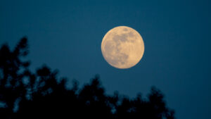 Understanding The Moon Illusion And Its Effect On Perception