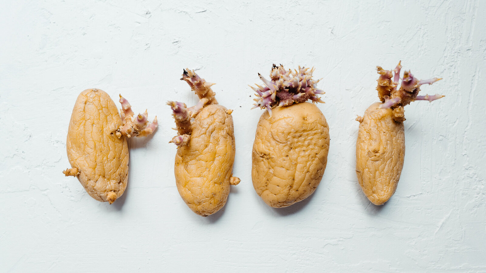 What Are The Growths That Emerge From Potatoes