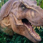 What The Tyrannosaurus Rex Really Looked Like