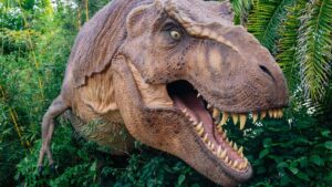 What The Tyrannosaurus Rex Really Looked Like
