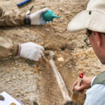 Why Scientists Dislike The Term Missing Link In Evolution