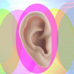 Why Some People Can Wiggle Their Ears While Others Cant