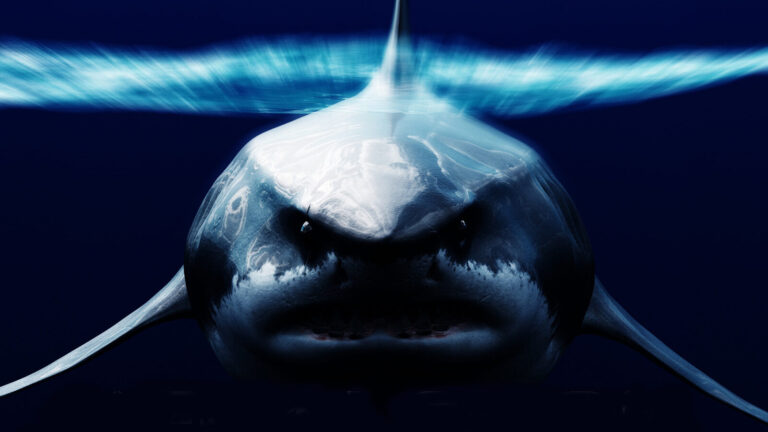 12 Animals That Were Once Bigger And Their Size Decline