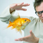 Goldfish Memory Myths Debunking The Three Second Memory Myth