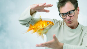 Goldfish Memory Myths Debunking The Three Second Memory Myth