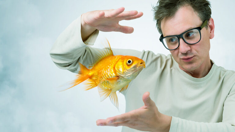 Goldfish Memory Myths Debunking The Three Second Memory Myth