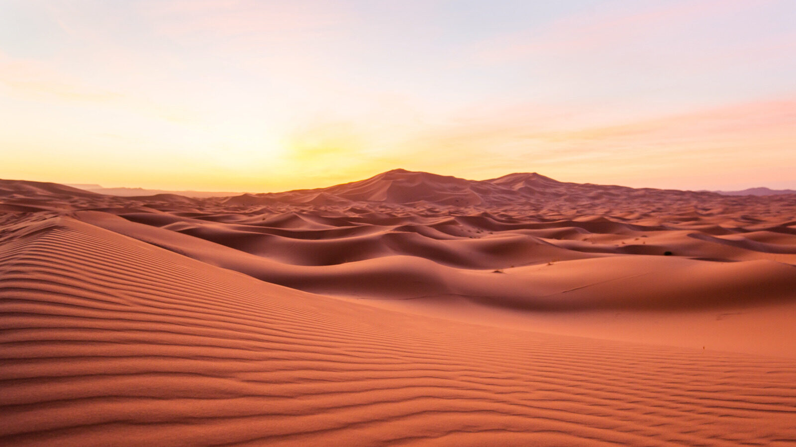 The Sahara Is Not The Largest Desert On Earth