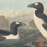 The Tragic Cause Of The Great Auk Extinction
