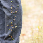 Understanding Spiky Round Seeds That Stick To You