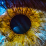 What Do Blind People Experience Visually Discover The Truth