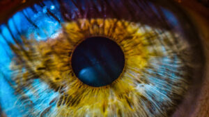 What Do Blind People Experience Visually Discover The Truth