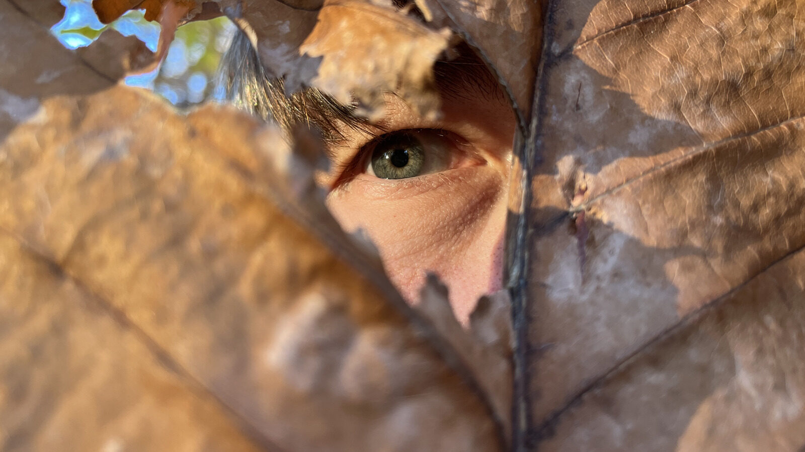 What If Terror Birds Had Never Gone Extinct