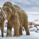 What If Woolly Mammoths Had Never Gone Extinct