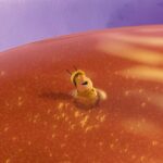 Why Bees Produce Delicious Honey