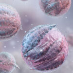 Common Causes Of Summer Diarrhea From Parasites