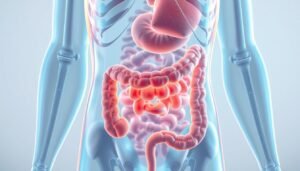 Medical illustration of the human colon and digestive system highlighting colon health