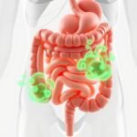 Medical illustration of the human digestive system showing the process of gas production in the colon.