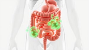 Medical illustration of the human digestive system showing the process of gas production in the colon.