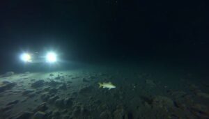 A robotic submersible exploring the dark, sediment-covered bottom of Superior Maximus in Lake Superior.