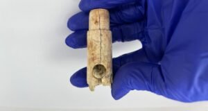 A 2,800-year-old bone flute fragment and a 4,500-year-old humanoid idol head discovered in ancient Troy