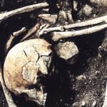 Archaeological excavation of a 1,200-year-old mass grave in Latvia showing skeletal remains
