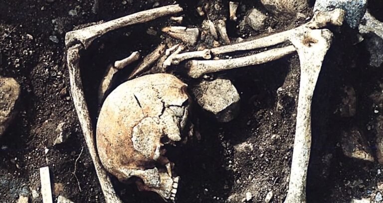 Archaeological excavation of a 1,200-year-old mass grave in Latvia showing skeletal remains