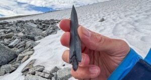 A prehistoric slate arrowhead and wooden shaft emerging from melting ice in the Norwegian mountains.