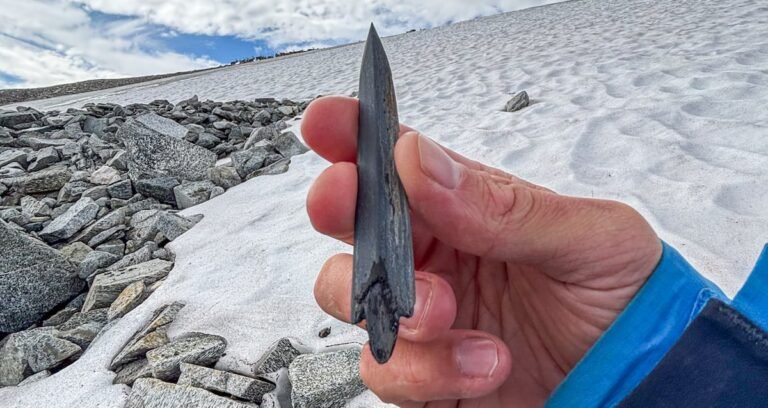 A prehistoric slate arrowhead and wooden shaft emerging from melting ice in the Norwegian mountains.