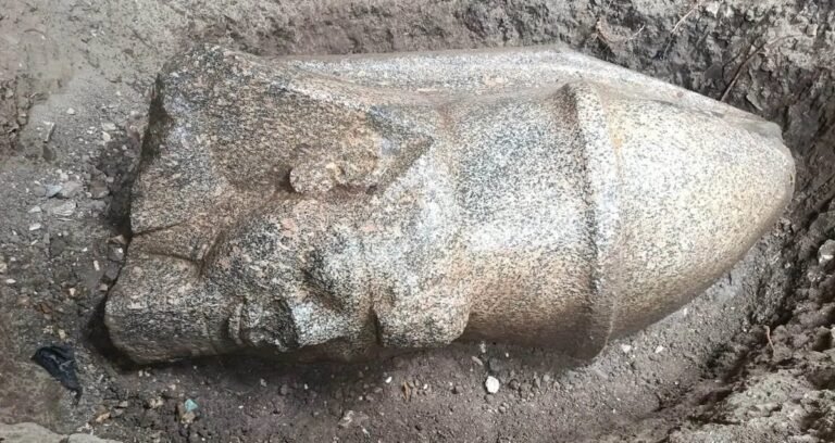 Two colossal pink granite statue heads of Ramesses II discovered by a farmer in Behbeit El-Hagar, Egypt.