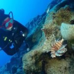 Ancient ceramic amphorae and stone anchors from a 4,700-year-old shipwreck on the Mediterranean seabed.